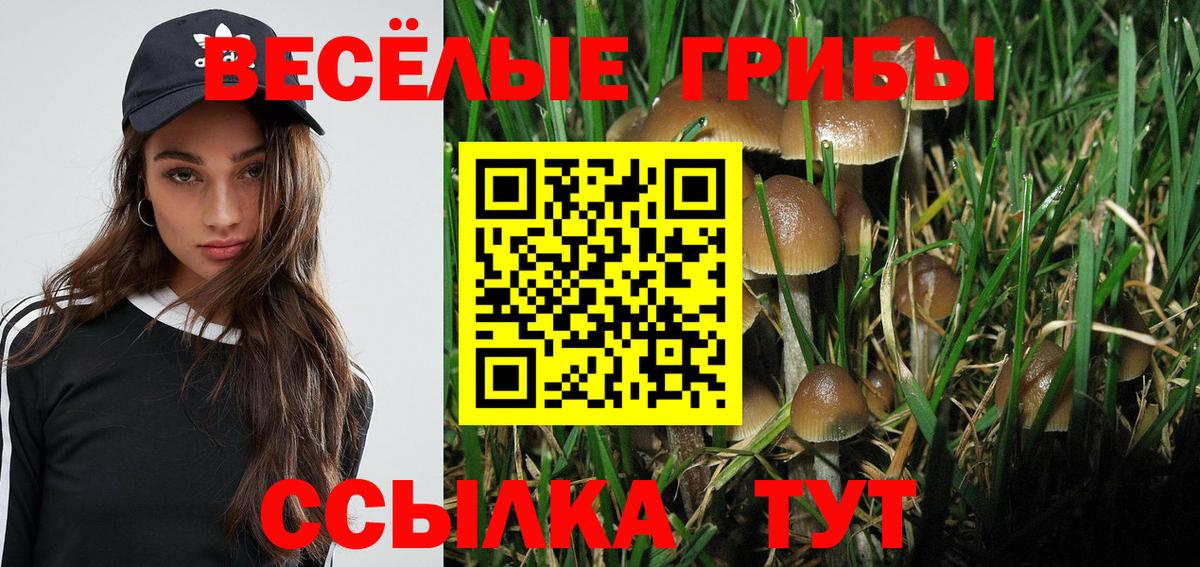 цены наркотик  Галлюциногенные грибы мухоморы  Вход с VPN  Карачаевск  Галлюциногенные грибы GOLDEN TEACHER 